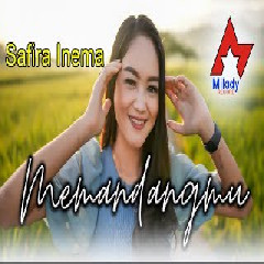 Download Lagu Safira Inema - Memandangmu (Dj Santuy) Terbaru