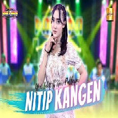 Download Lagu Yeni Inka - Nitip Kangen feat New Pallapa Terbaru