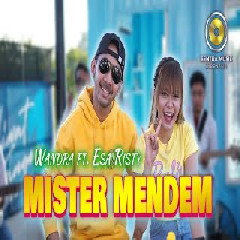 Download Lagu Esa Risty - Mister Mendem feat Wandra Terbaru