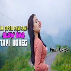 Download Lagu Imelia AG - Dj Viral Tiktok Ciperi Pam Pam Slow Bass Horeg Terbaru