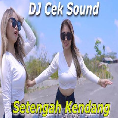 Download Lagu Dj Reva - Dj Cek Sound Dinasty Setengah Kendang Paling Dicari Terbaru